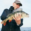Perch fishing in Canada